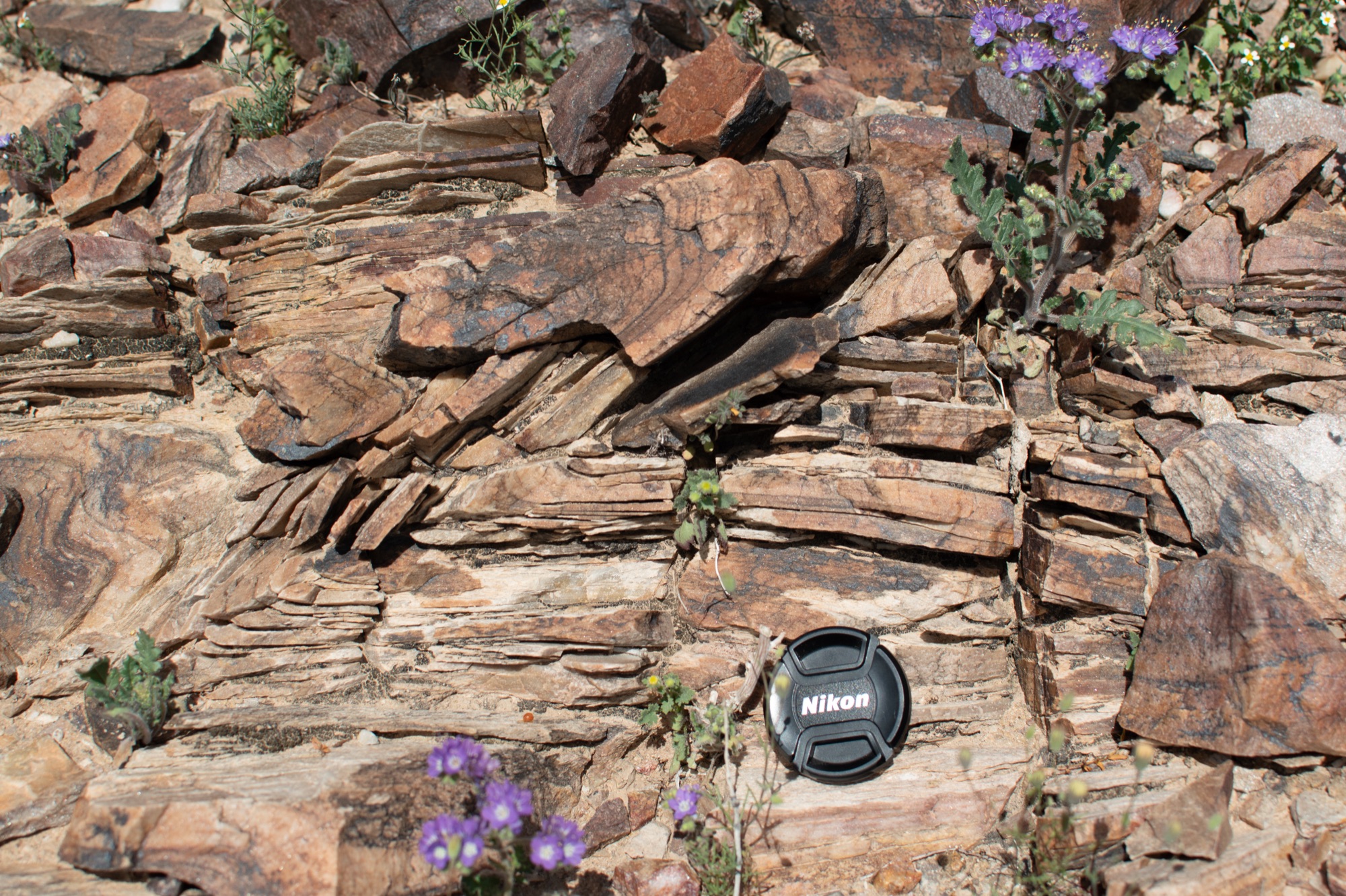 Big Maria Mountains outcrop