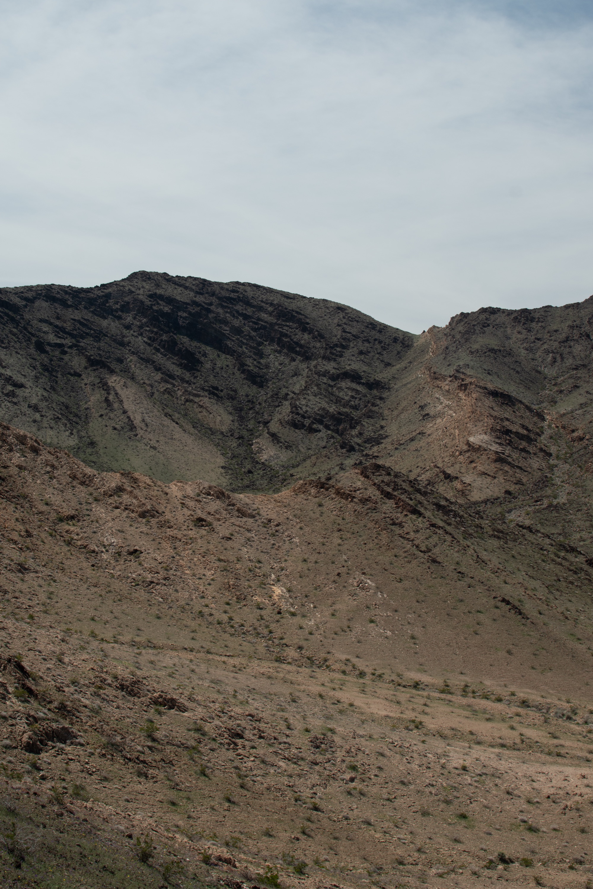 Big Maria Mountains landscape