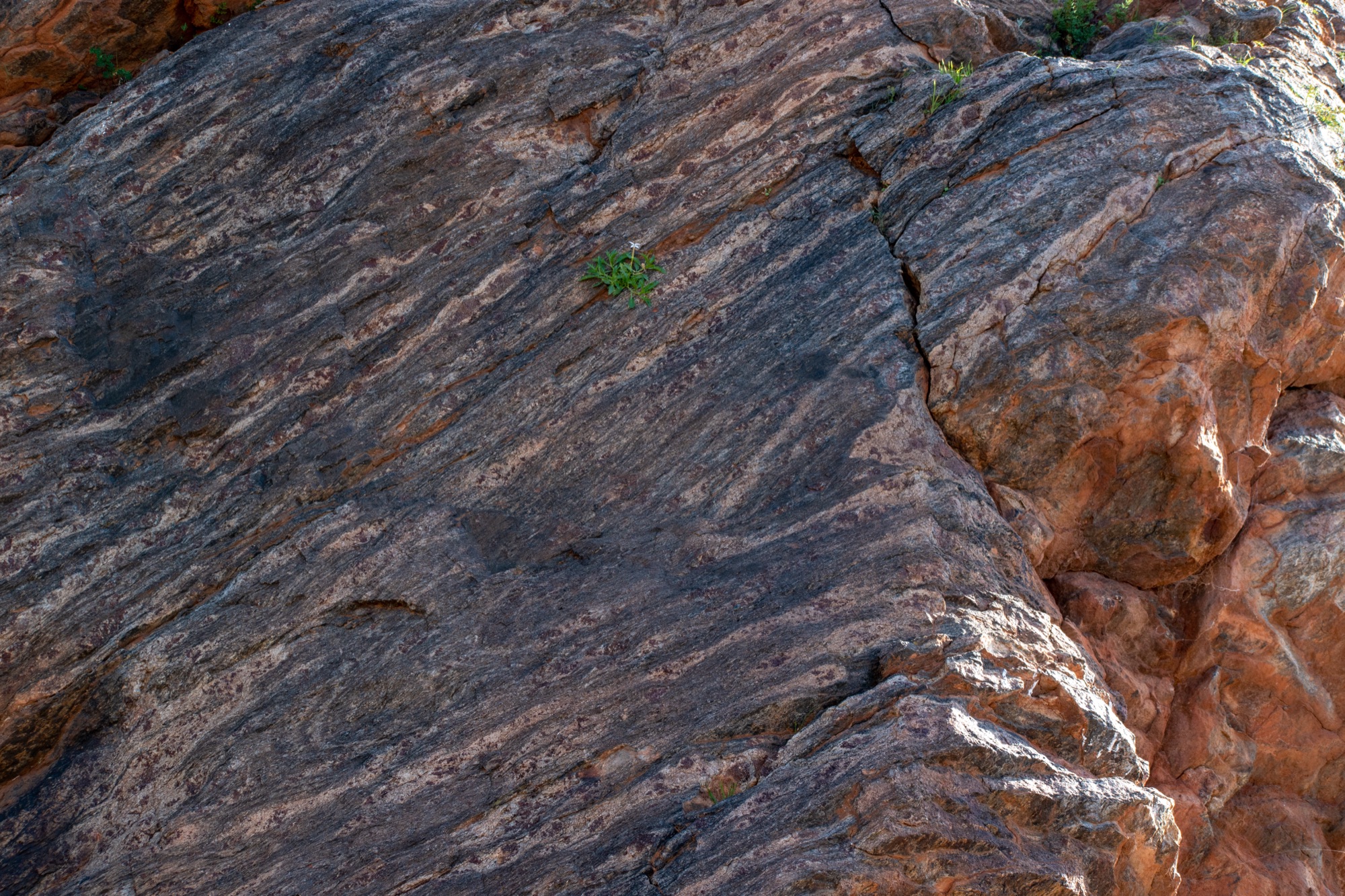 Broken Hill fieldwork