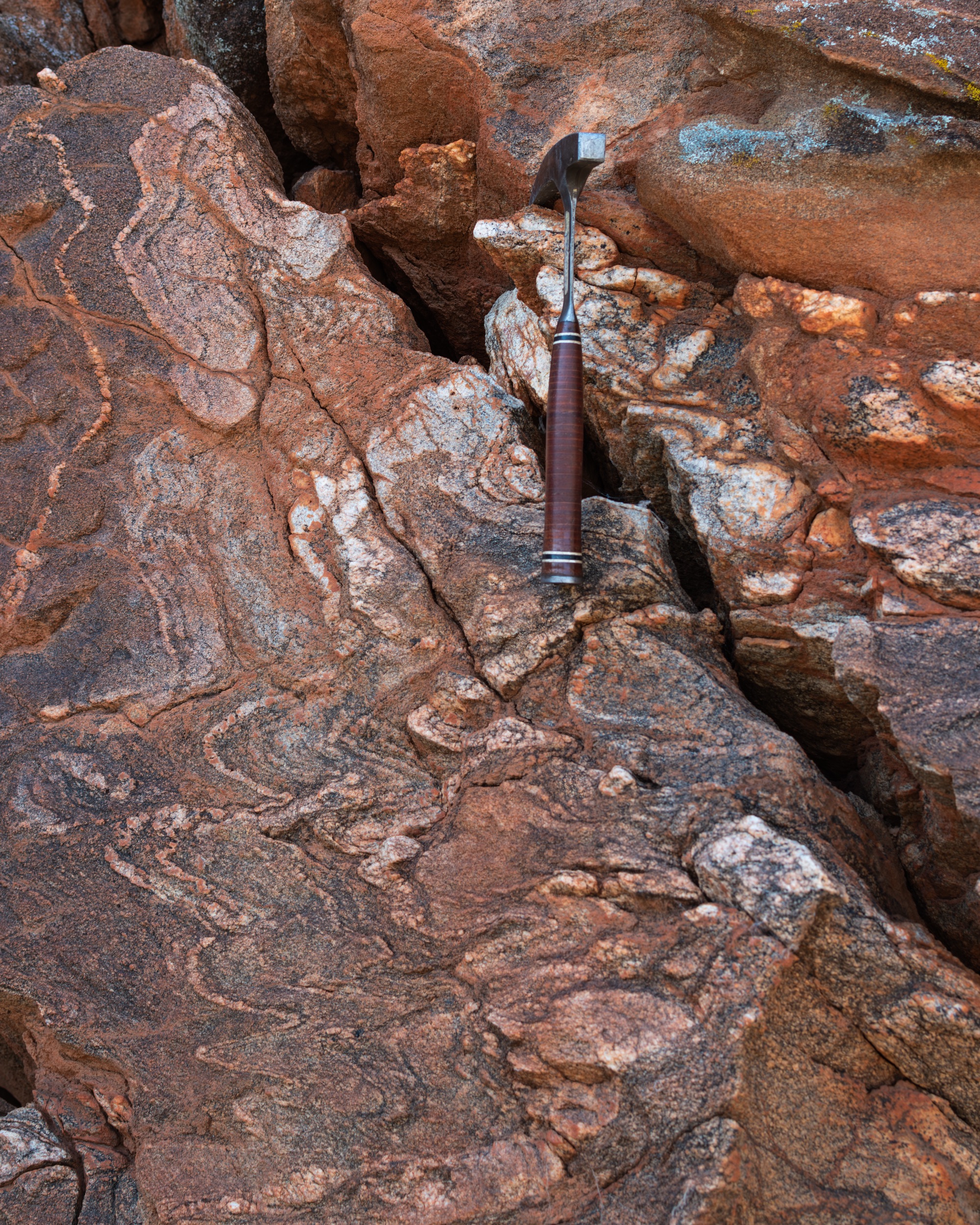 Central Australia fieldwork