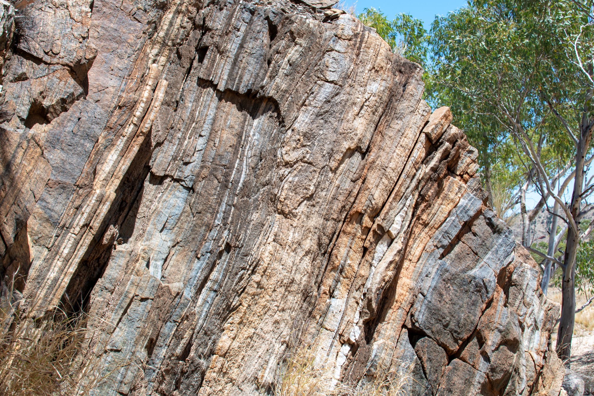 Fieldwork, Central Australia