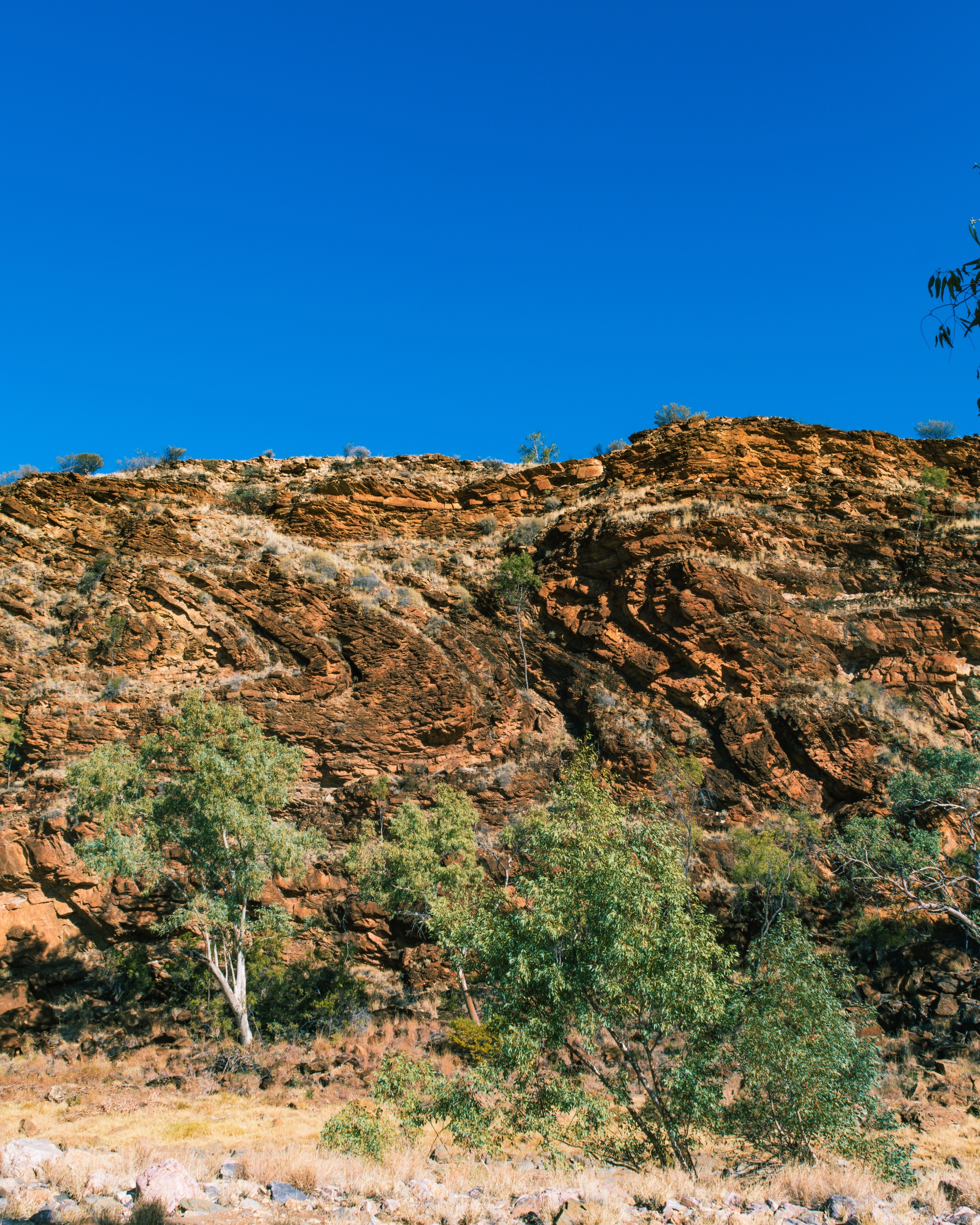 Central Australia fieldwork