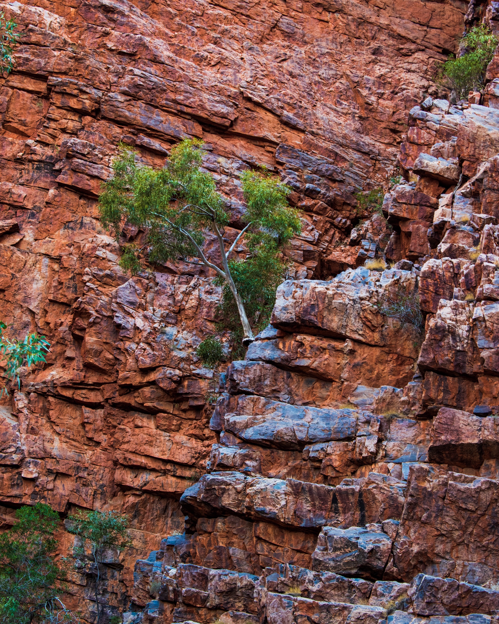 Red rock cliff face, Central Australia