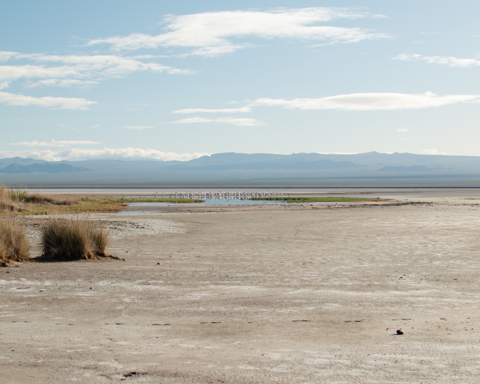 Mojave Desert landscape