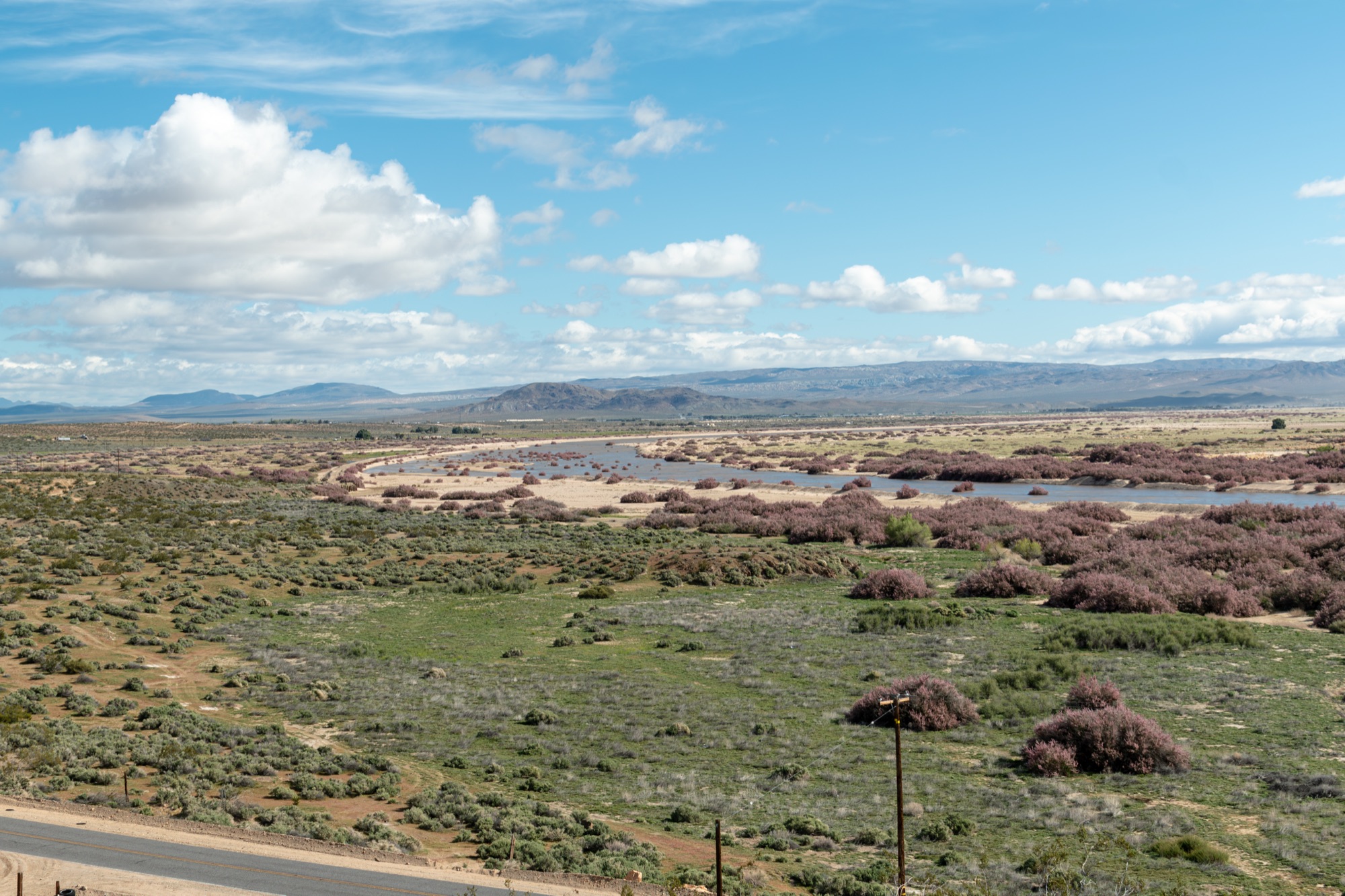 Mojave Desert outcrop