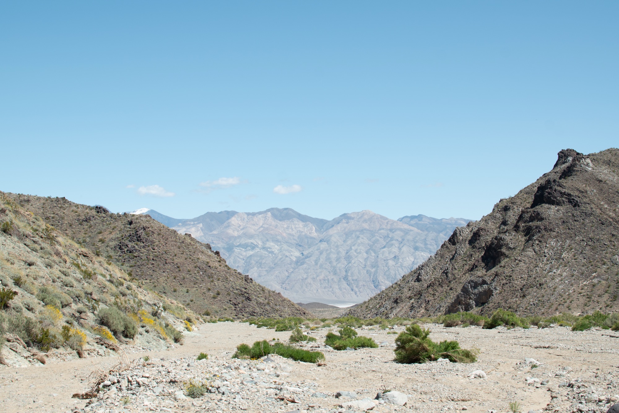 Mojave Desert fieldwork